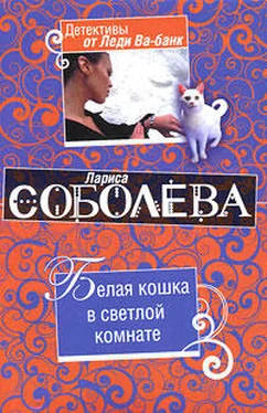 Лариса Соболева Белая кошка в светлой комнате обложка книги