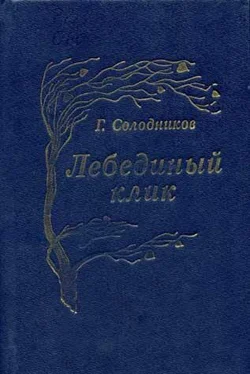 Геннадий Солодников Рябина, ягода горькая обложка книги