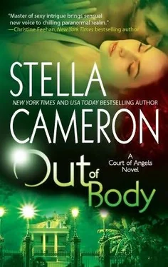 Stella Cameron Out of Body обложка книги