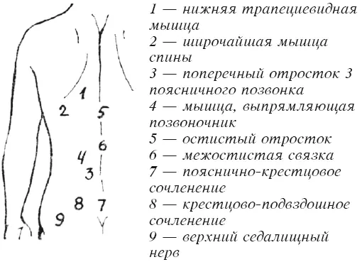 Массаж применяется для снятия болей в пояснице и ногах вызываемых травмами - фото 188