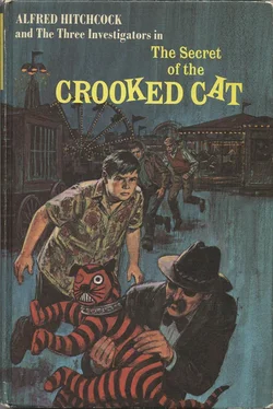 William Arden The Secret of the Crooked Cat обложка книги