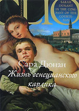 Сара Дюнан Жизнь венецианского карлика обложка книги