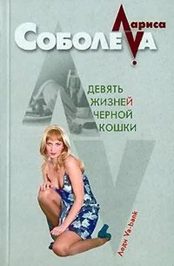 Лариса Соболева Девять жизней черной кошки обложка книги