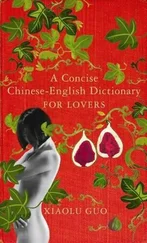 Xiaolu Guo - A Concise Chinese English Dictionary for Lovers