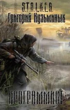 Григорий Кузьминых Программист обложка книги