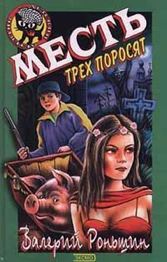 Валерий Роньшин Месть трёх поросят обложка книги