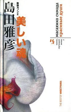 Масахико Симада Красивые души обложка книги