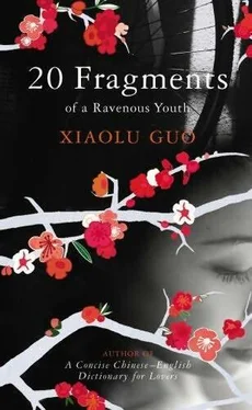 Xiaolu Guo 20 Fragments Of A Ravenous Youth обложка книги