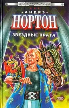 Андрэ Нортон Операция Поиск во времени обложка книги