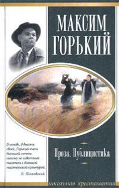 Максим Горький Челкаш обложка книги