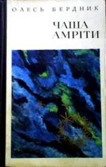 Олесь Ьердник - Дике Поле