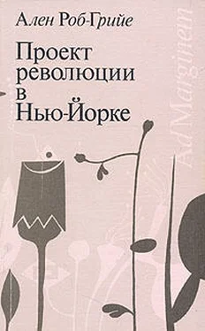 Ален Роб-Грийе Проект революции в Нью-Йорке обложка книги