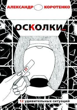 Александр Коротенко Осколки. 12 удивительных ситуаций обложка книги