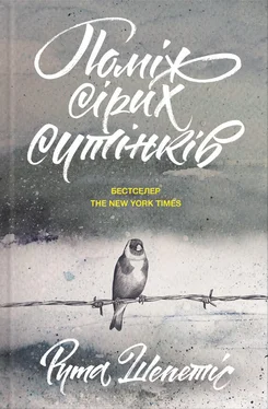 Рута Шепетис Поміж сірих сутінків обложка книги