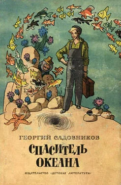 Георгий Садовников Спаситель океана, или Повесть о странствующем слесаре обложка книги