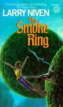 Larry Niven The Smoke Ring обложка книги