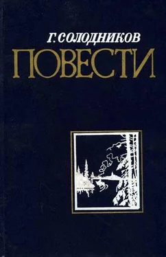 Геннадий Солодников Не страшись купели обложка книги