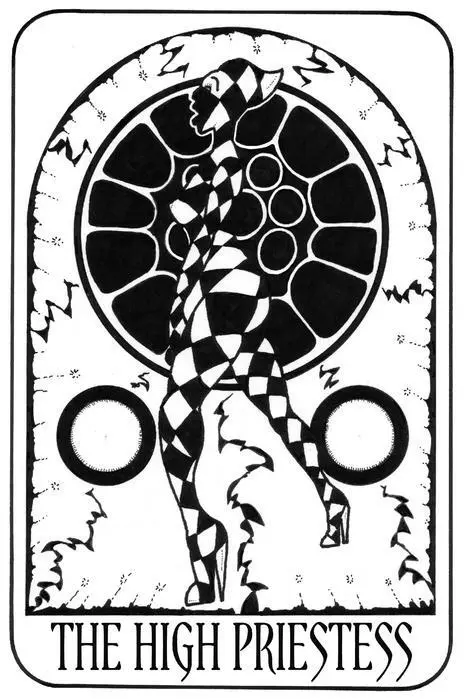 29 THE HIGH PRIESTESS But is he dead I asked of Hugo Rune Of course he - фото 9