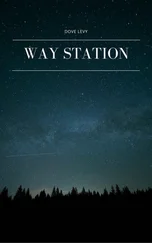 Dove Levy - Way Station