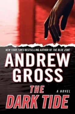 Andrew Gross The Dark Tide обложка книги