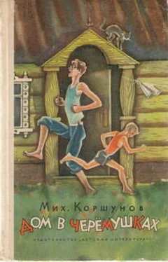 Михаил Коршунов Дом в Черёмушках обложка книги