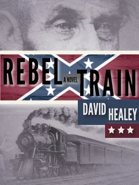 David Healey Rebel Train обложка книги