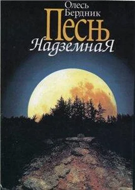 Олесь Бердник Песнь Надземная обложка книги