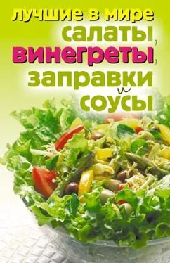 Михаил Зубакин Лучшие в мире салаты, винегреты, заправки и соусы обложка книги