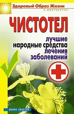 Екатерина Андреева Чистотел. Лучшие народные средства лечения заболеваний обложка книги