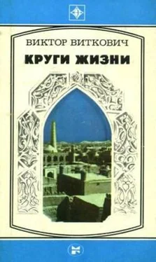 Виктор Виткович Круги жизни обложка книги