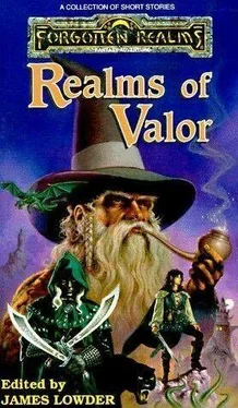 Anthology Realms of Valor обложка книги