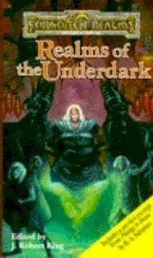 J. King Realms of the Underdark обложка книги