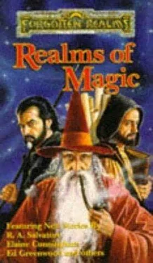 Brian Thomsen Realms of Magic обложка книги