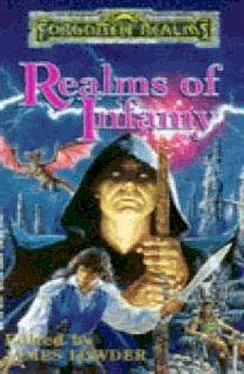 James Lowder Realms of Infamy обложка книги