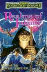 James Lowder - Realms of Infamy