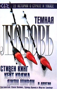 Стивен Кинг Темная любовь (антология) обложка книги