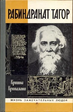 Крипалани Кришна Рабиндранат Тагор обложка книги