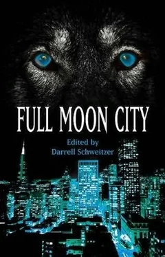 Darrell Schweitzer Full MoonCity