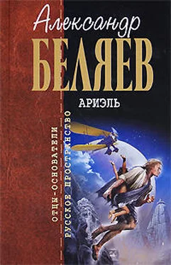 Александр Беляев Под небом Арктики обложка книги