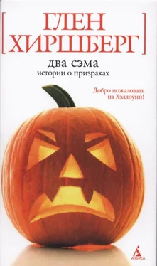 Глен Хиршберг Два Сэма: Истории о призраках обложка книги