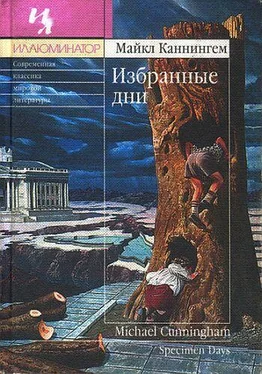 Майкл Каннингем Избранные дни обложка книги