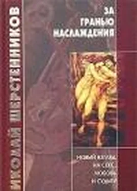 Николай Шерстенников За гранью наслаждения обложка книги