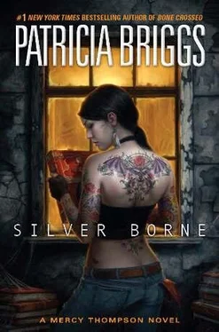 Patricia Briggs Silver Borne обложка книги