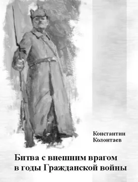 Константин Колонтаев Битва с внешним врагом в годы Гражданской войны обложка книги