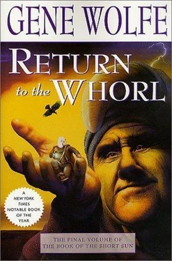 Gene Wolfe Return to the Whorl обложка книги