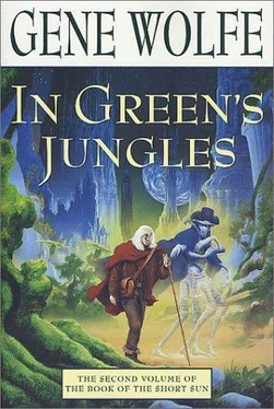 Gene Wolfe In Green's Jungles обложка книги