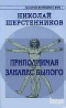 Николай Шерстенников Практики древней Северной Традиции. Книга 1. Приподнимая занавес былого обложка книги