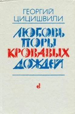 Георгий Цицишвили Любовь поры кровавых дождей обложка книги