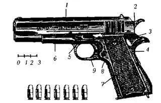 Рис 36 Пистолет Кольт М1911 А1 1 затвор 2 курок 3 флажковый - фото 36