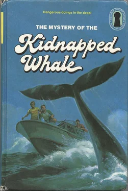 Марк Брендел The Mystery of the Kidnapped Whale обложка книги